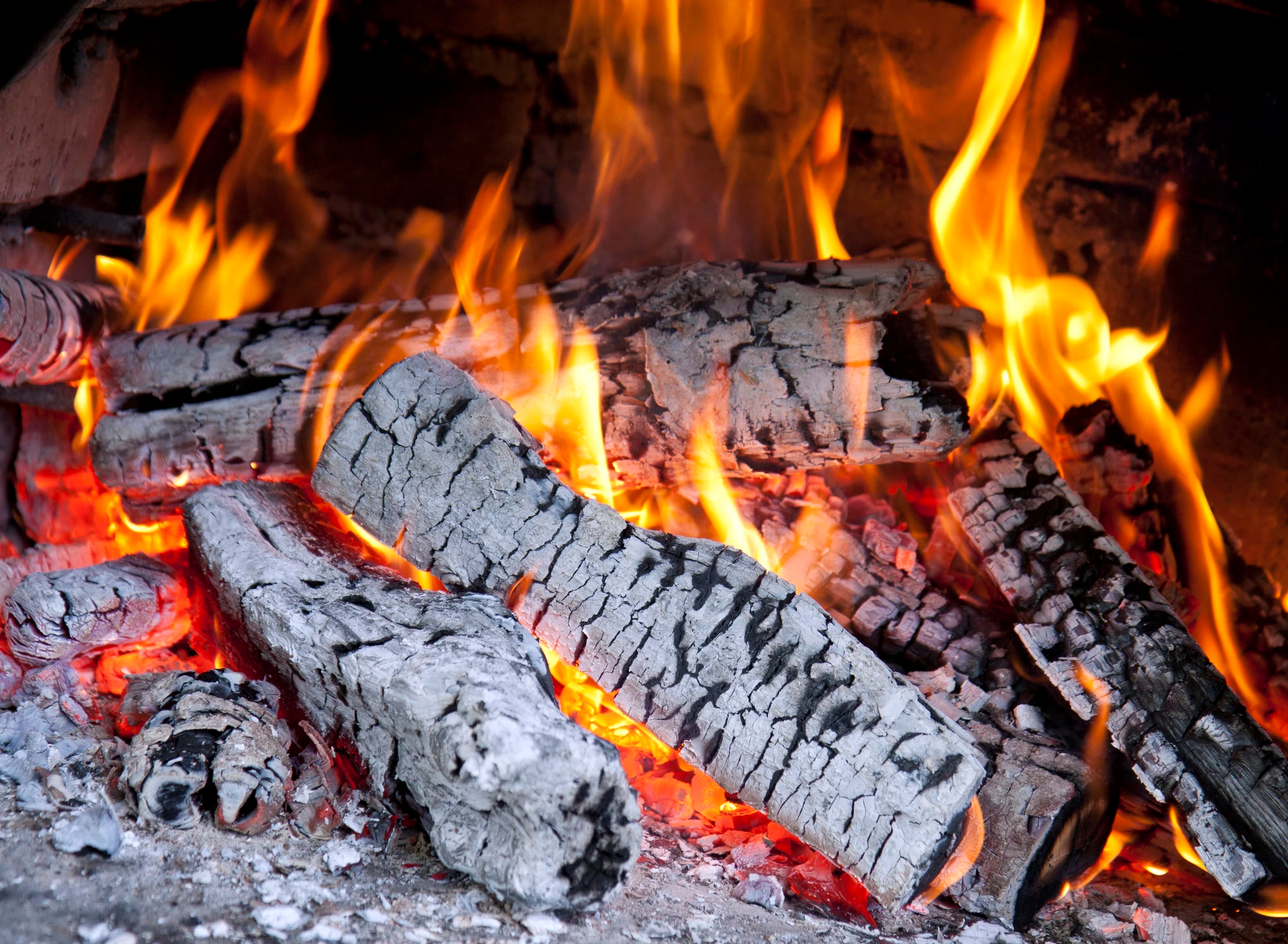 Bischofberger Holz Buche – Trockenes Brennholz in Stères, 33 cm (Palette 450 kg, Schweizer Herkunft)